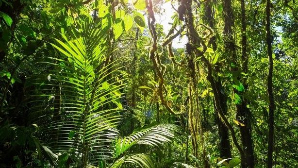 Investimenti ESG e Certificates: un binomio perfetto