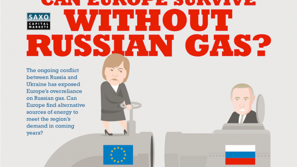 L’Europa ce la farà a sopravvivere senza il gas russo?