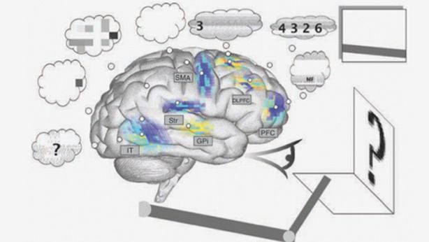 Spaun, il cervello artificiale da 2,5 milioni di neuroni