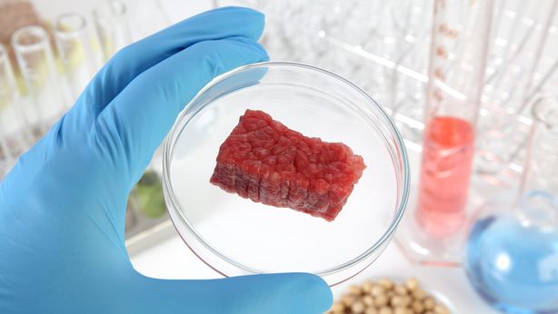 Carne sintetica, divieto di produzione ma non di importazione