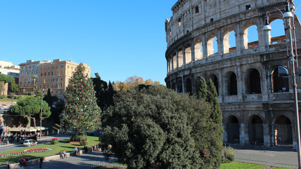 colesseum-1.png