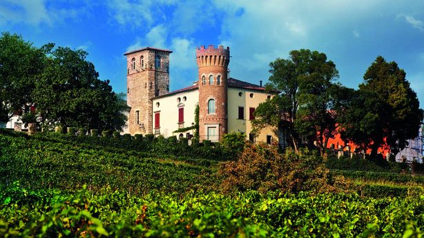 Castello di Buttrio. Fortezza tra le vigne
