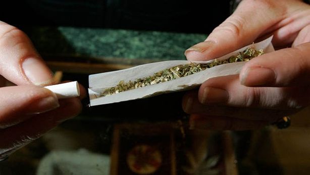 Arriva la cannabis di Stato, a produrla sarà l’Esercito
