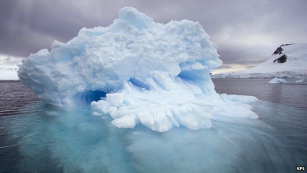 Clima: chi sopravviverà al riscaldamento globale?