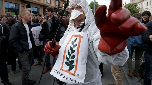 Monsanto, email rivelano prossimità con agenzia ambientale Usa