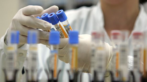 Lotta al cancro: segreto per la cura forse si nasconde nell’intestino