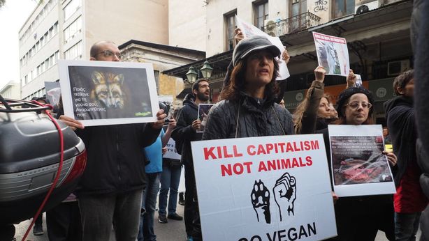 TAV: analisi inconsistente, via libera a bandi congelati