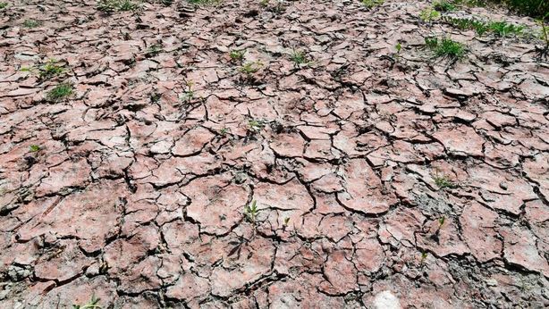 Allarme siccità: ok dal Governo allo stato di emergenza per 5 regioni