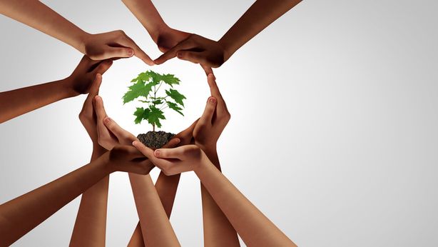 Danni all’ambiente: solo lo 0,45% delle imprese italiane è assicurato