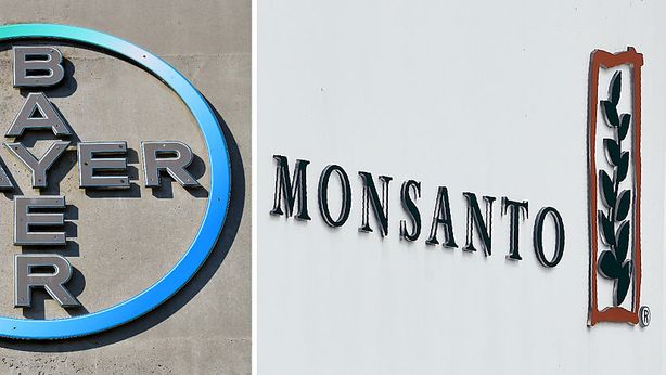 Bayer: dopo l’acquisto di Monsanto taglia 10% forza lavoro