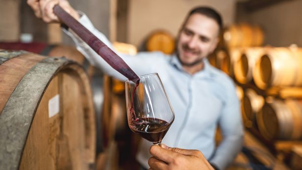 Settore vinicolo: mercato italiano sempre più premium, le cantine best performer