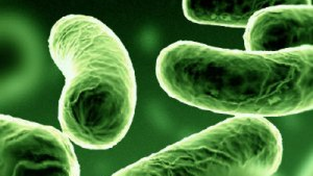 Antibiotici inefficaci: batteri fatali per 23mila ogni anno