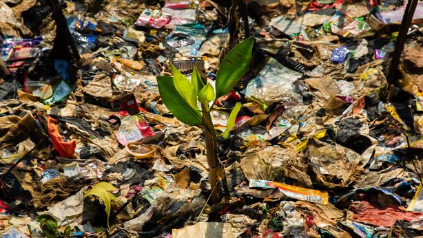 Fondi pensione: aumenta l’interesse per aziende ESG