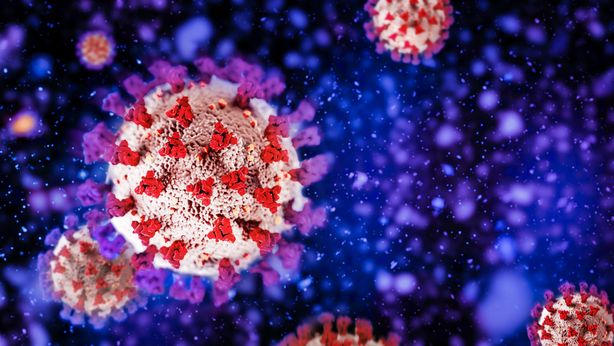 Omicron, il confronto con il 2021: meno ricoveri e decessi
