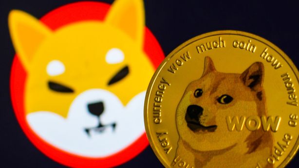 Shiba Inu contro Dogecoin, la copia sta per superare l’originale