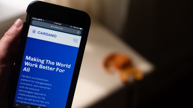 Cardano, nuovi massimi per la criptovaluta: i motivi del successo