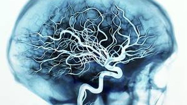 La “coscienza” esiste nella materia. E’ scritta nel nostro cervello